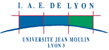 I. A. E. de Lyon - Universit� Jean Moulin